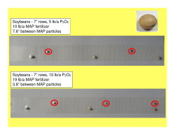 Soybeans - 7&rdquo; rows, 5 lb/a P2O5 10 lb/a MAP fertilizer 7.6&rdquo; between