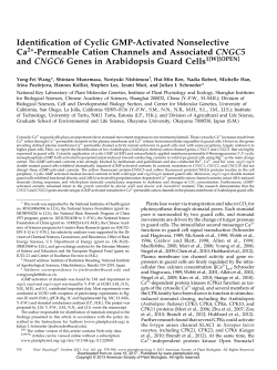 Identiication of Cyclic GMP-Activated Nonselective Ca2+