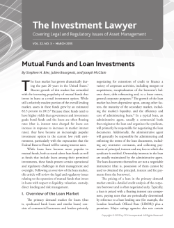 Mutual Funds and Loan Investments, The Investment