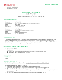 Fungi in Environment - Department of Plant Biology