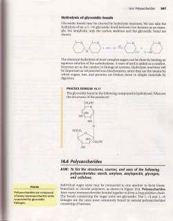 tl"t)+Ho H*ti"*,,_(_)