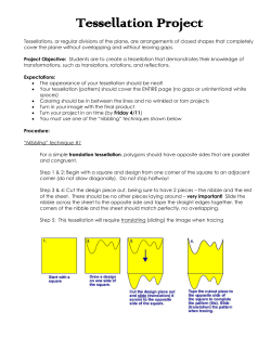 Tessellation Project