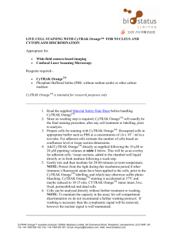 LIVE CELL STAINING WITH CyTRAK Orange&trade; FOR NUCLEUS