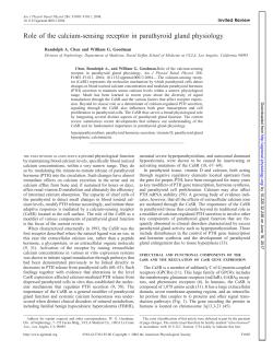 Role of the calcium-sensing receptor in parathyroid gland physiology