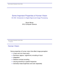 Some Important Properties of Human Vision Human Vision
