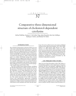 Comparative three-dimensional structure of cholesterol