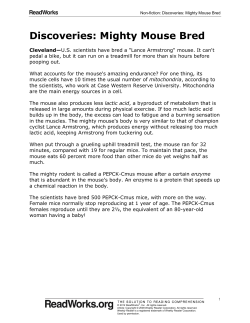 Discoveries: Mighty Mouse Bred