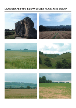 LANDSCAPE TYPE 4: LOW CHALK PLAIN AND SCARP