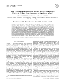 Floral Development and Anatomy of Moringa oleifera