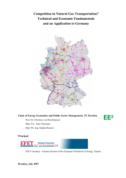 Competition in Natural Gas Transportation? Technical and