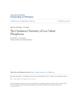 The Oxidation Chemistry of Low Valent Phosphorus