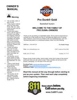 Pro Dunk Gold Owners Manual