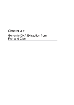 Genomic DNA Extraction from Fish and Clam