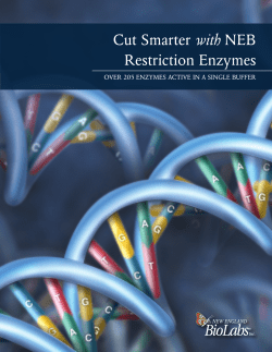 Cut Smarter with NEB Restriction Enzymes