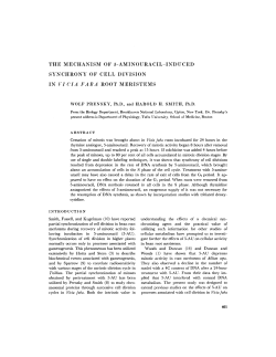 the mechanism of 5-aminouracil-induced synchrony of cell division