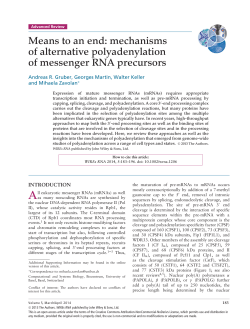 Means to an end: mechanisms of alternative polyadenylation of