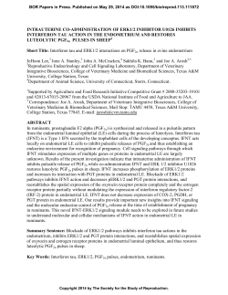 intrauterine co-administration of erk1/2 inhibitor u0126