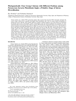 Phylogenetically Close Group I Introns with Different Positions