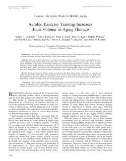 Aerobic Exercise Training Increases Brain Volume in