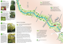 Bournemouth Tree Trail - Bournemouth Borough Council