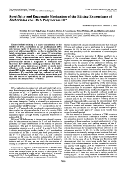 Specificity and Enzymatic Mechanism of the Editing Exonuclease of