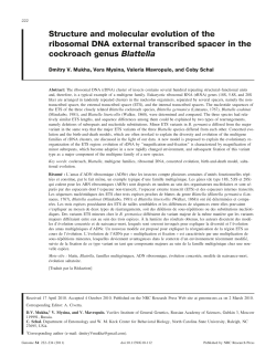 Structure and molecular evolution of the ribosomal DNA external