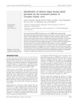 Identification of distinct steps during tubule formation by the