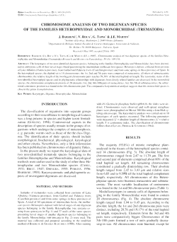 chromosome analysis of two digenean species of the families