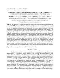 and lion (panthera leo)