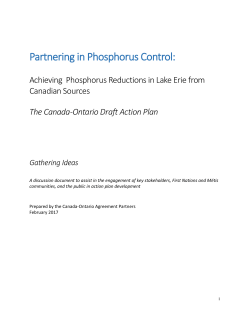 Partnering in Phosphorus Control: Achieving Phosphorus