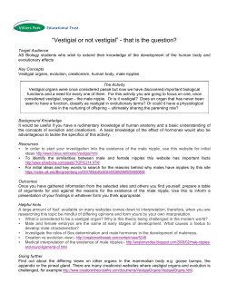 Biology activity 3 vestigial organs