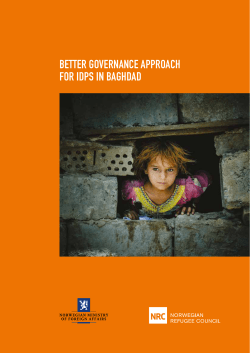 - Food Security Cluster