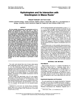 Gravitropism in Maize Roots`