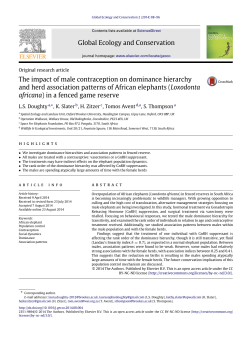 The impact of male contraception on dominance hierarchy and herd