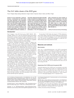 The DAU allele cluster of the RHD gene