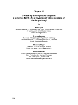 Chapter 12 Collecting the neglected kingdom: Guidelines for the