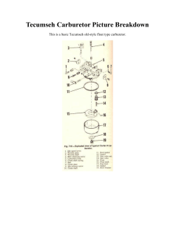 Tecumseh Carburetor Picture Breakdown