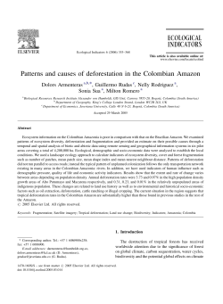 Patterns and causes of deforestation in the Colombian Amazon