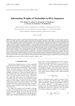 Information Weights of Nucleotides in DNA Sequences