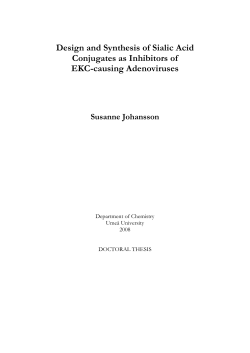 Design and Synthesis of Sialic Acid Conjugates as Inhibitors