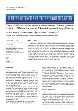 Effects of different feather colors in chub mackerel (Scomber