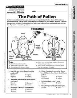 The path of pollen