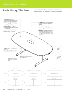 Livello Meeting Table Basics