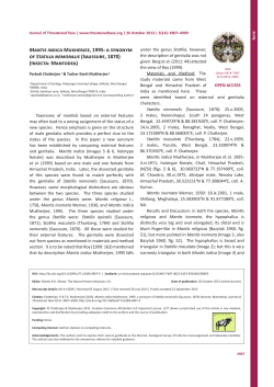 Mantis indica Mukherjee, 1995: a synonym of Statilia nemoralis