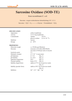 Sarcosine Oxidase