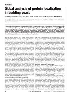 Global analysis of protein localization in budding yeast