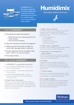 Electrolyte replacer for horses