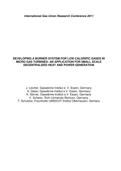 International Gas Union Research Conference 2011 DEVELOPING
