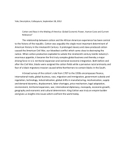 The relationship between cotton and the African American