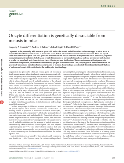 Oocyte differentiation is genetically dissociable